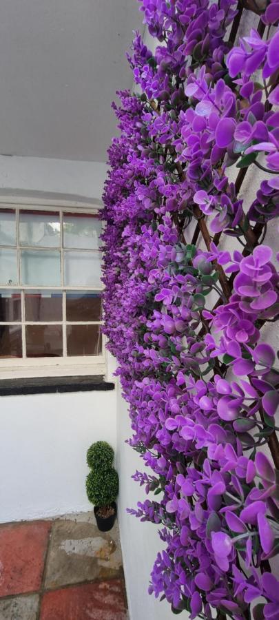 Diamond Harbour - Whole Huge Apartment - Wifi - Beach - Ramsgate Town Exteriör bild