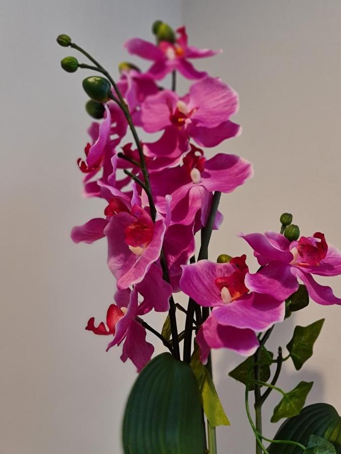 Diamond Harbour - Whole Huge Apartment - Wifi - Beach - Ramsgate Town Exteriör bild